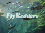 FlyRodders